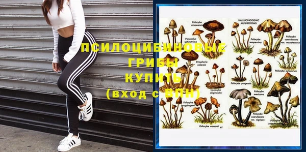 прущая мука Осташков