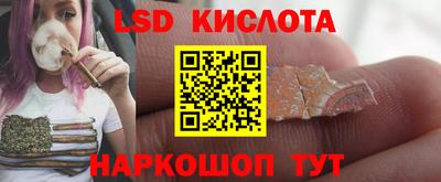 стаф Бийск