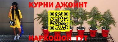 стаф Бийск
