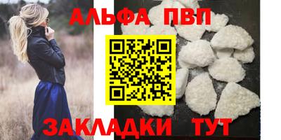 стаф Бийск