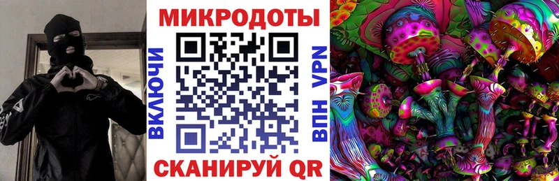 наркотики  hydra вход  Псилоцибиновые грибы Magic Shrooms  Воронеж 