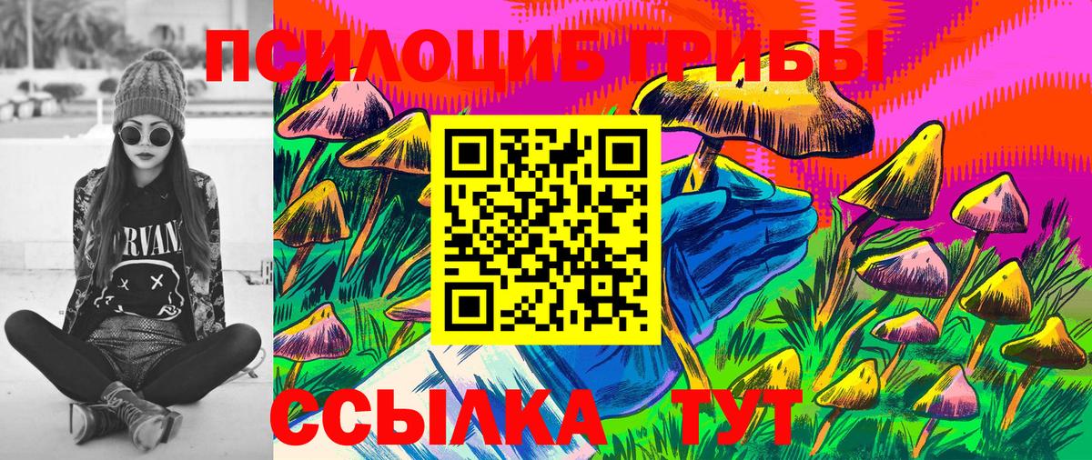 Псилоцибиновые грибы прущие грибы Воронеж